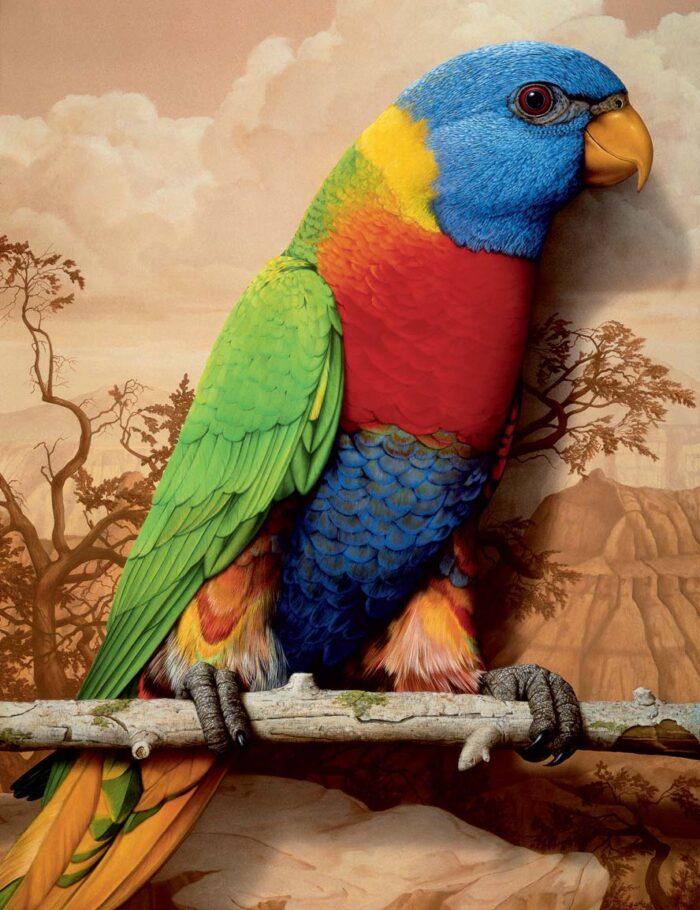 Rainbow Parrot lithograph by Tom Palmore 1989 photorealist Artist signed and numbered