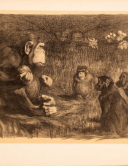 Le jugement a Paris by Jouve for L'Estampe Moderne 1897 original plate