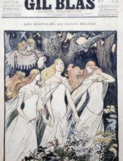 Gil Blas Theofile Steinlen c1890's Les digitales