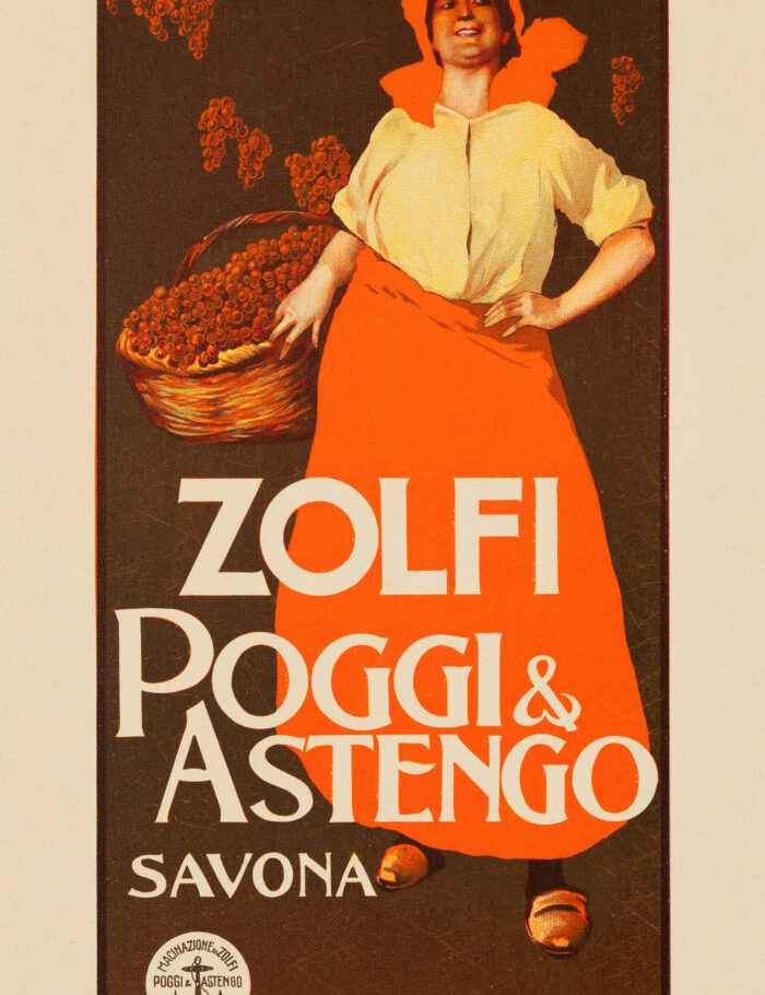 ZolfiF